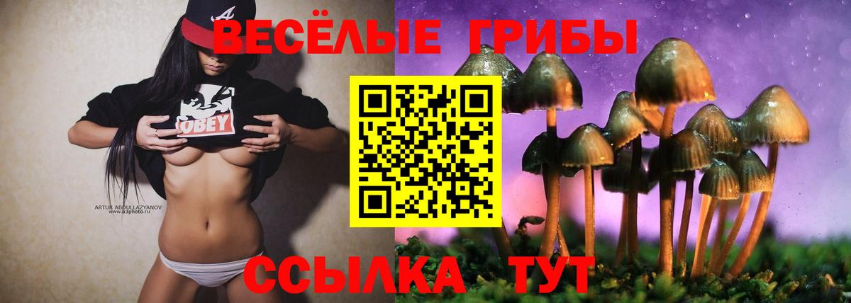 Рыбинск  Псилоцибиновые грибы мицелий  Вход с VPN 